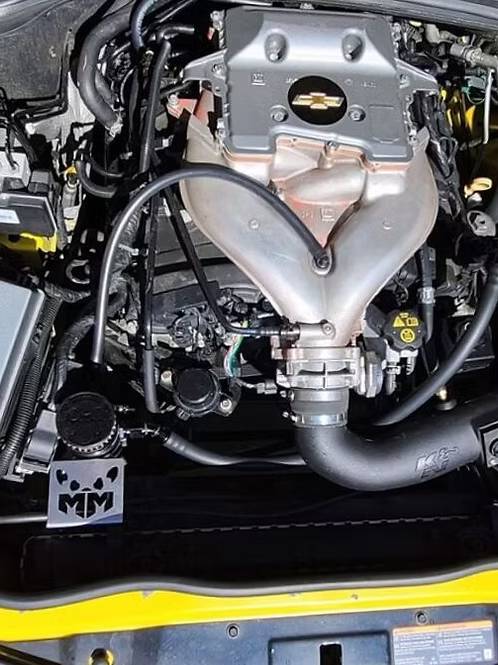 MIGHTY MOUSE SOLUTIONS - Camaro 5 WILD