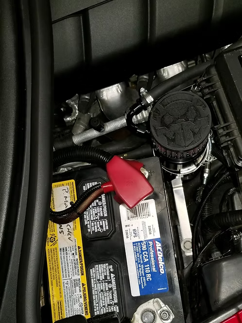 MIGHTY MOUSE SOLUTIONS - C5 / 6 WILD