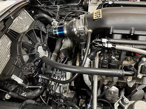 MIGHTY MOUSE SOLUTIONS - C7 WILD