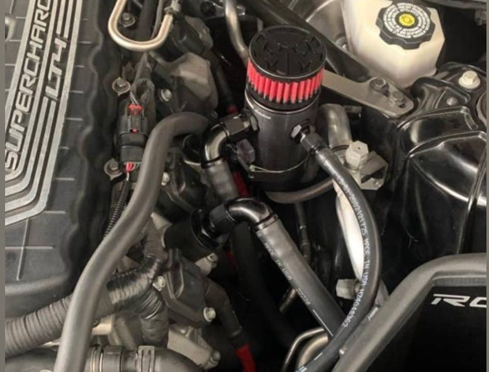 MIGHTY MOUSE SOLUTIONS - Camaro 6 WILD