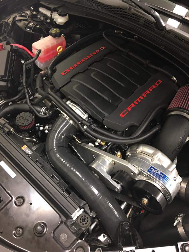 MIGHTY MOUSE SOLUTIONS - Camaro 6 WILD