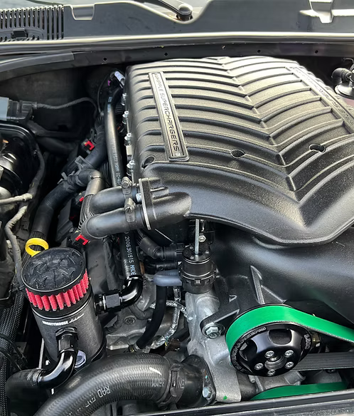 MIGHTY MOUSE SOLUTIONS - SRT MILD
