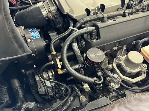 MIGHTY MOUSE SOLUTIONS - C7 WILD
