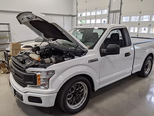 MIGHTY MOUSE SOLUTIONS - 5.0 F150 WILD