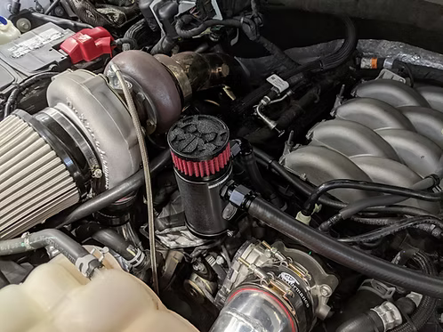 MIGHTY MOUSE SOLUTIONS - 5.0 F150 WILD