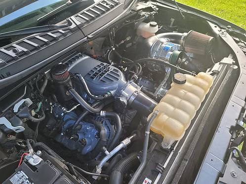 MIGHTY MOUSE SOLUTIONS - 5.0 F150 WILD