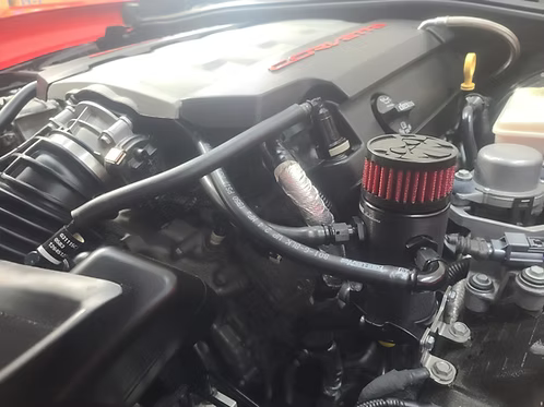 MIGHTY MOUSE SOLUTIONS - C7 MILD