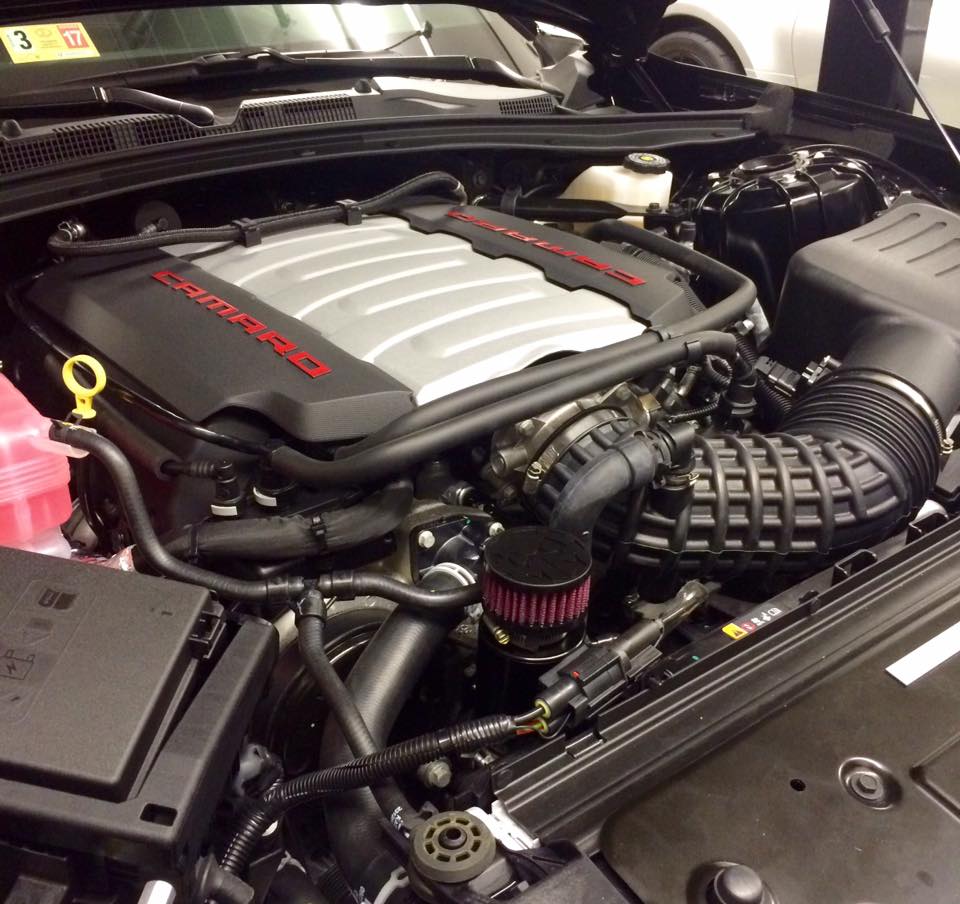 MIGHTY MOUSE SOLUTIONS - Camaro 6 MILD